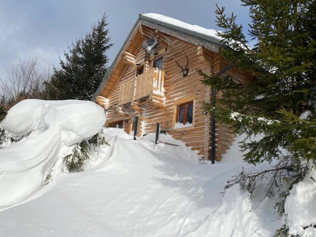 Alpenchalet Grabner Alm Am Praebichl Almhauser Luaran gambar