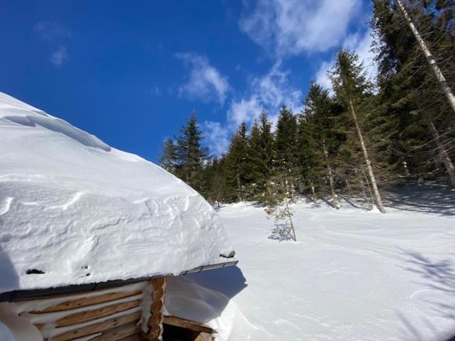 Alpenchalet Grabner Alm Am Praebichl Almhauser Luaran gambar